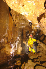 Thumbnail of photo from this article